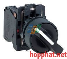 SELECTOR SWITCH - XB5AD21